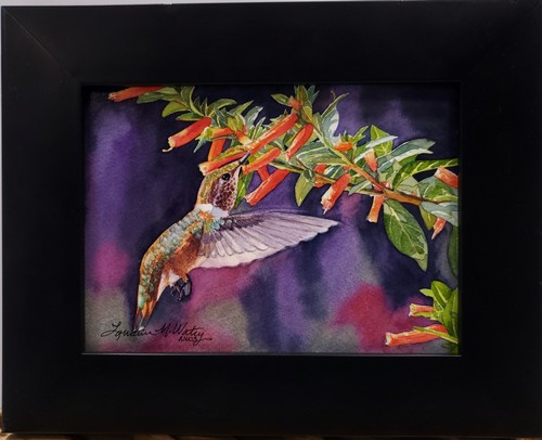 Click to view detail for Little Orange Flash 5x7 $245